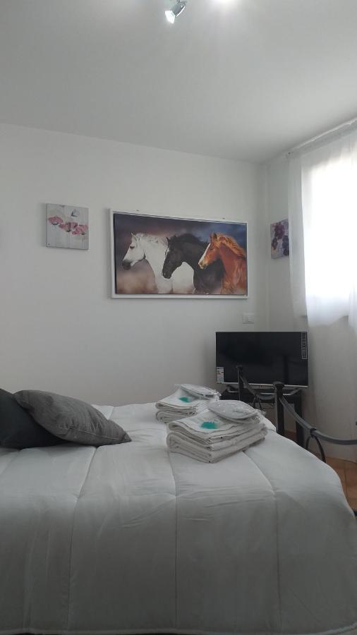 Apartment Vittorio